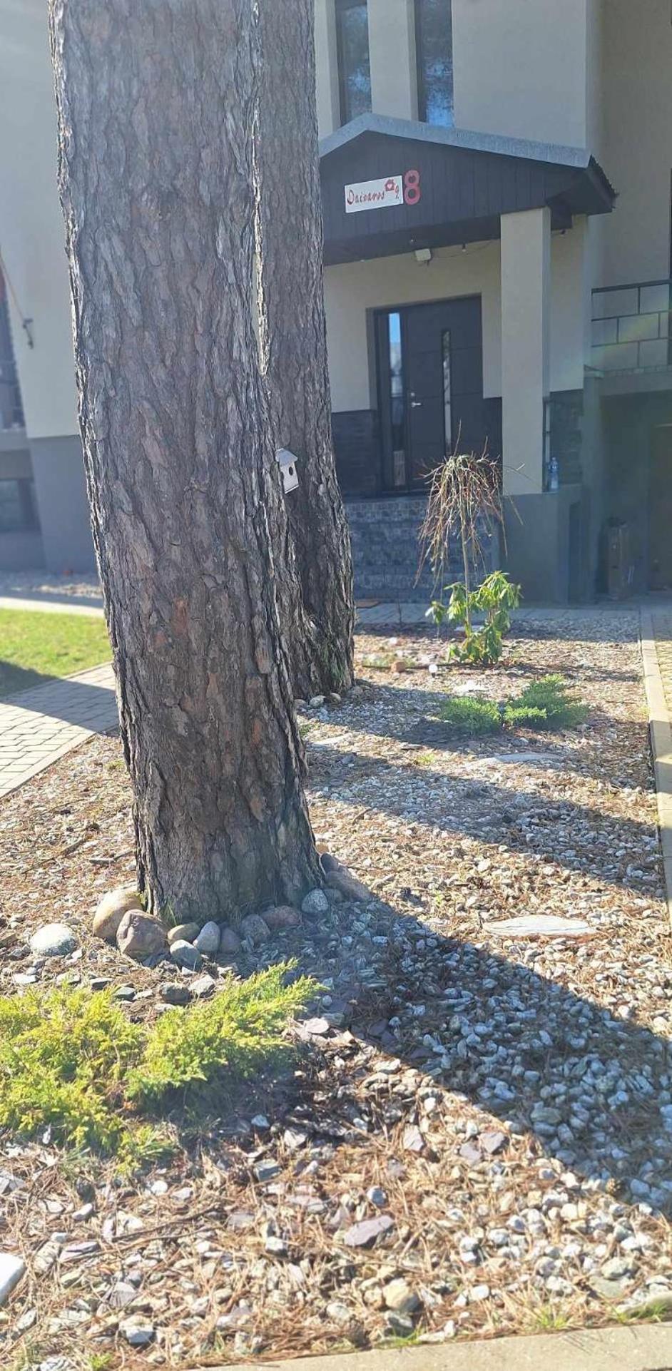 Dainavos Apartamentai 德拉肯恩凯 外观 照片